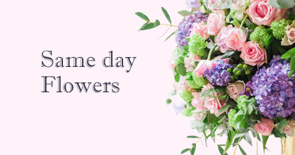 Same day Flowers Pinner