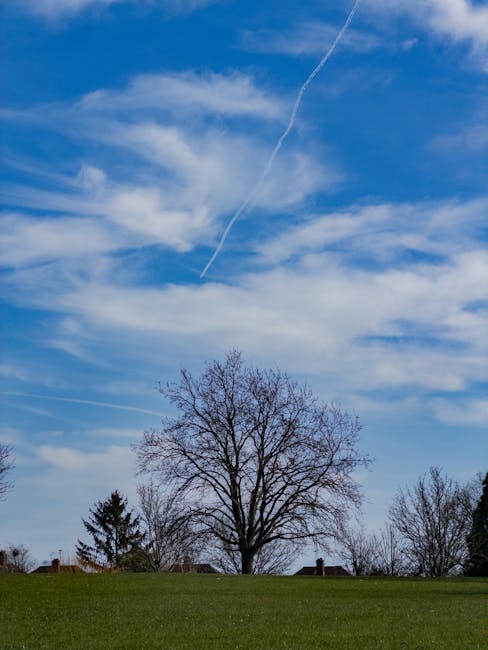 A clear blue sky with scattered white clouds and a prominent contrail streaking diagonally across it. Below, a large leafless tree stands in the foreground with a well-maintained grassy area and small