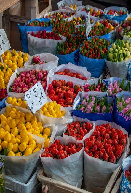 A display of numerous bouquets of tulips arranged in white and blue paper wrapping at a flower market, showcasing a variety of colors including yellow, pink, red, orange, and purple. The flowers have 